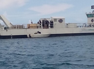 Private Van Sightseeing Tour Bermuda Cruise Shore Guide