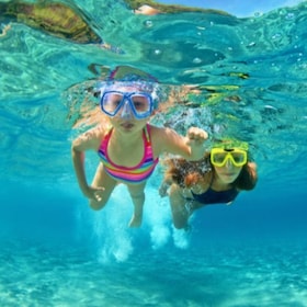 South Padre Island: North Bay Snorkeling Tour
