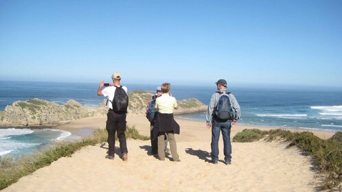 Robberg Nature Reserve Hiking Trails