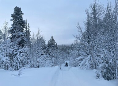 Kiruna: Guided Snowmobile Tour and Swedish Fika Experience