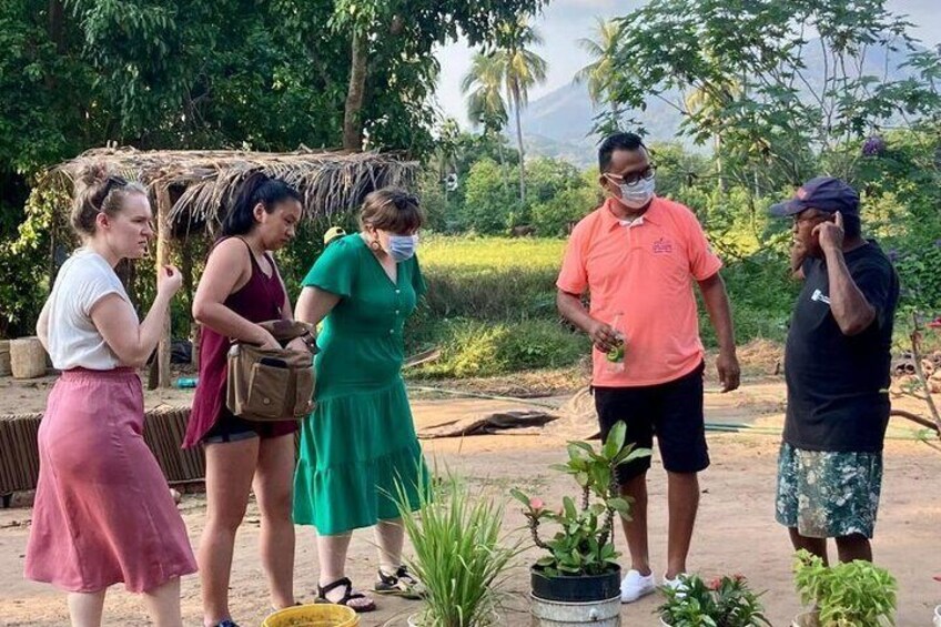 Archaeological Site Tour in Zihuatanejo