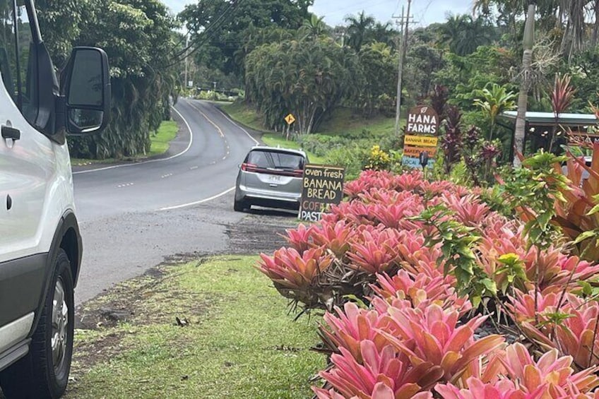 Road to Hana Tours with Hotel pick-up, Black sand beach , waterfalls and more!