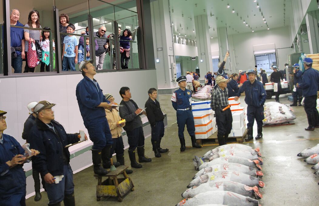 Tokyo Toyosu Tuna Auction Tour with a Local Market Expert
