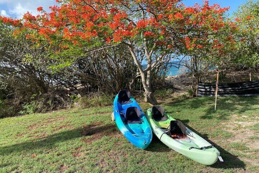 Kayak Rental on Saint Croix