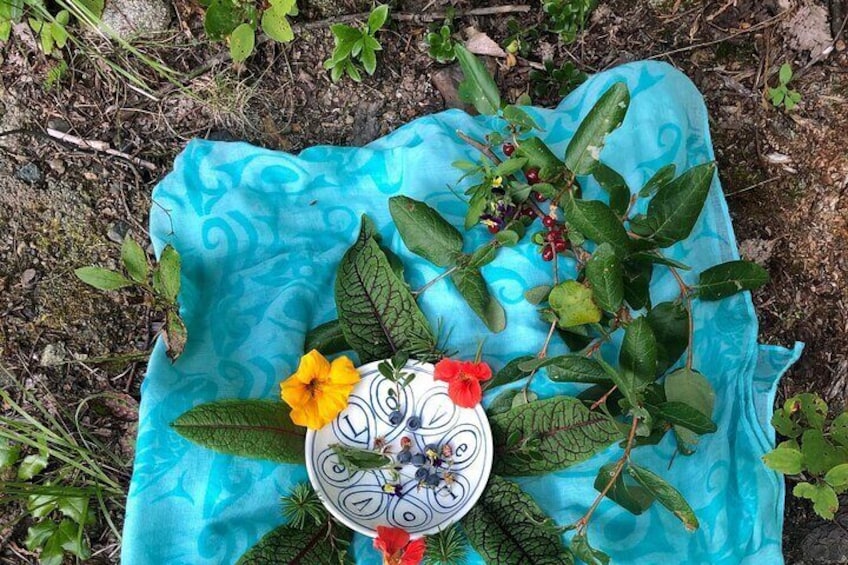 Join us for a wildcrafted tea at the end of the walk