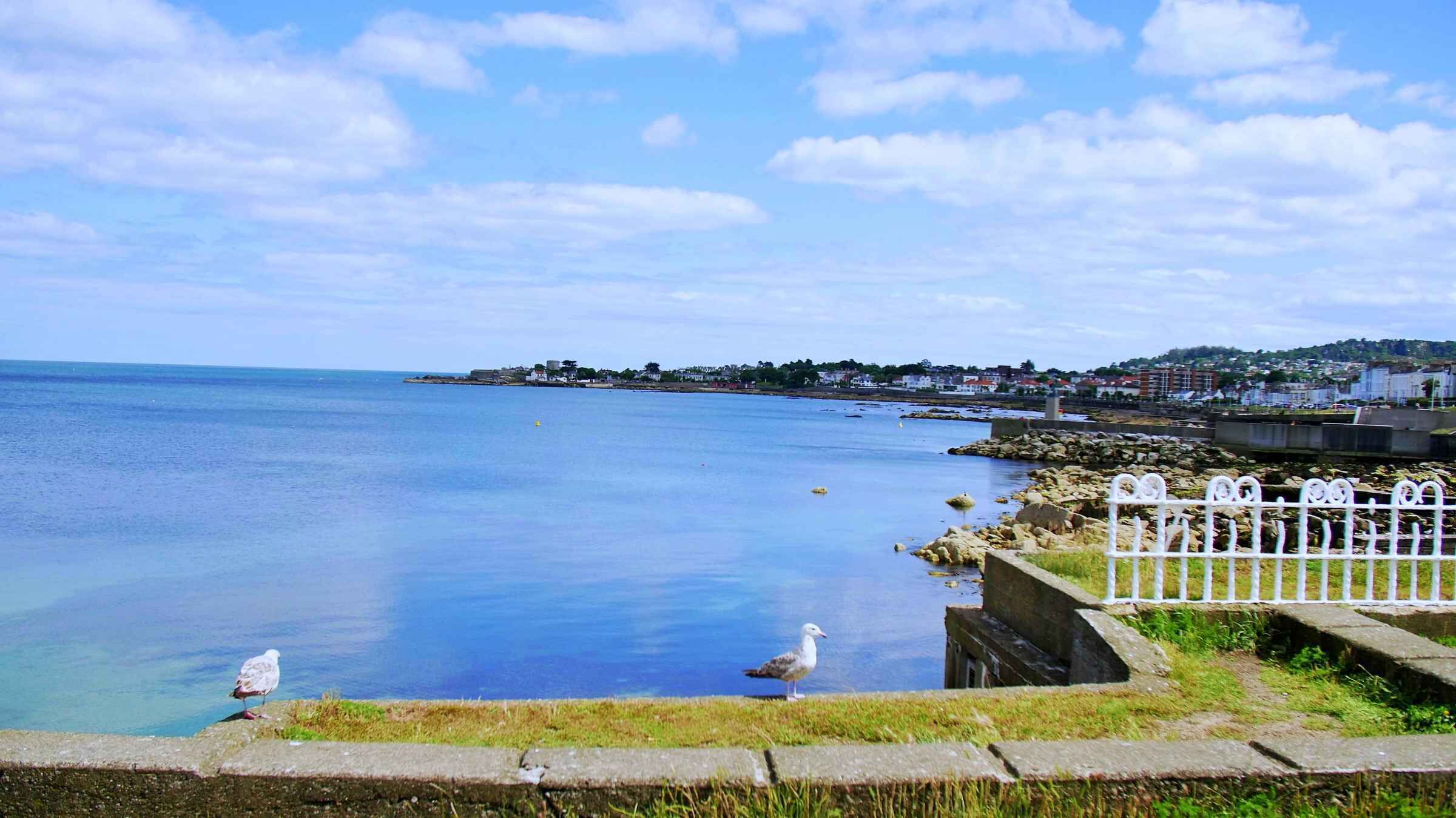 Picture 1 for Activity Dublin: Dun Laoghaire Coastal Walking Tour with Local Guide