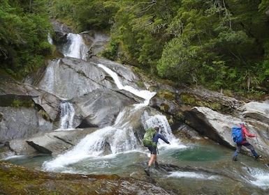 Wānaka: Private Rob Roy Glacier Guided Hike Lunch