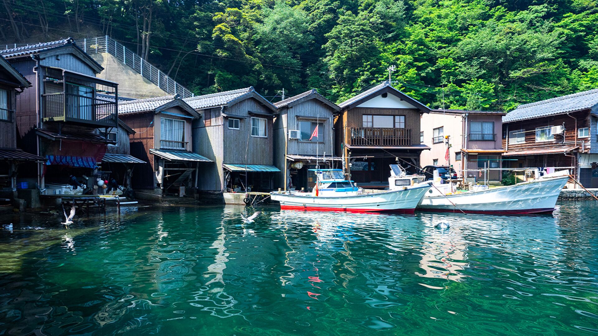 Japan: Kyoto Amanohashidate & Miyama Day Tour