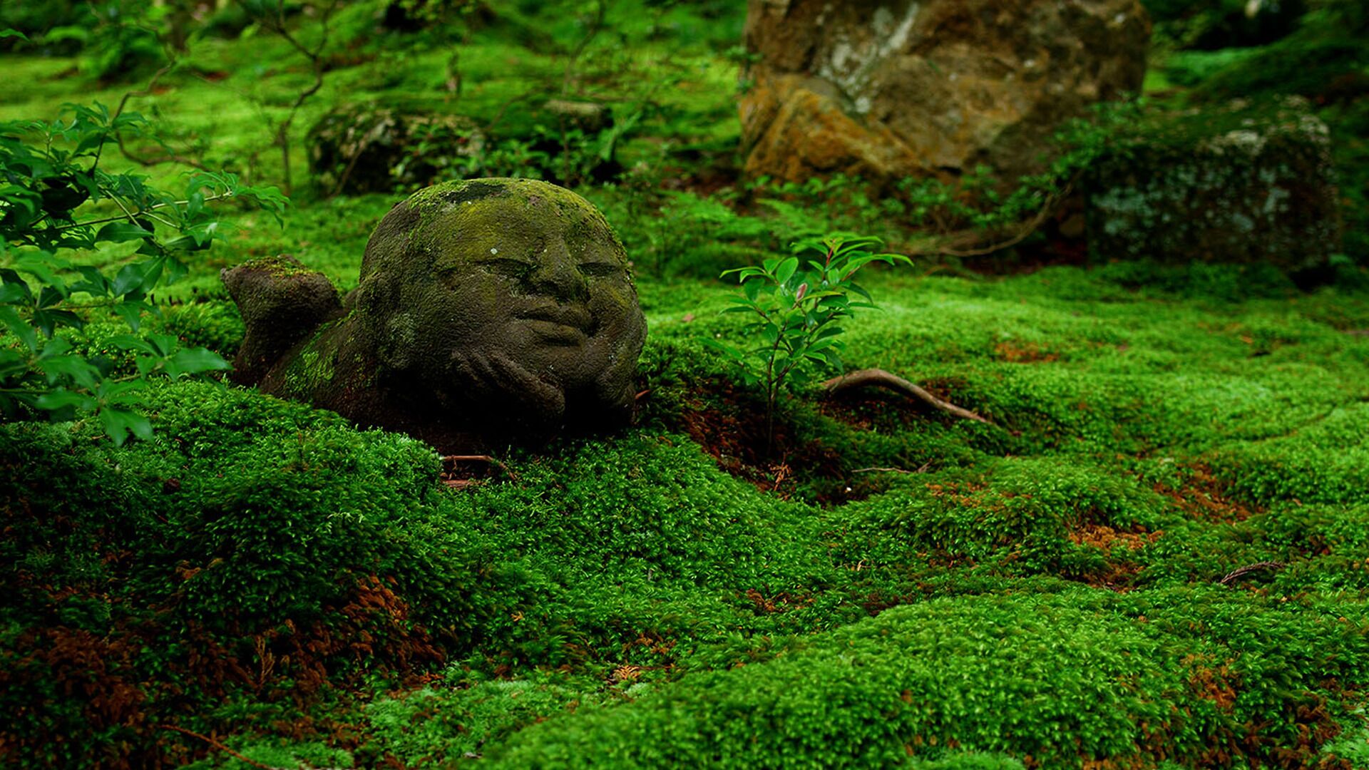 Japan: Kyoto Day Tour Arashiyama