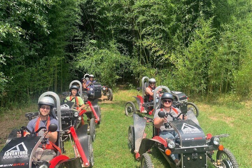 Swincars in Bamboo Forest
