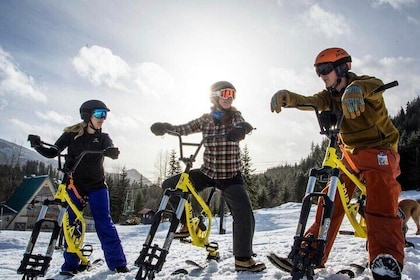 Ski Bike Rental in South Lake Tahoe