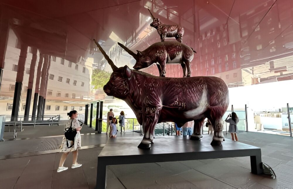 Madrid: Reina Sofía Museum