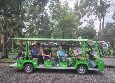 Mexico City: San Ángel Experience with Electric Ecobus