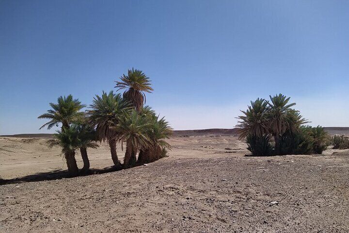 Exceptional 3-Day Desert Tour from M'hamid to Erg Chegaga