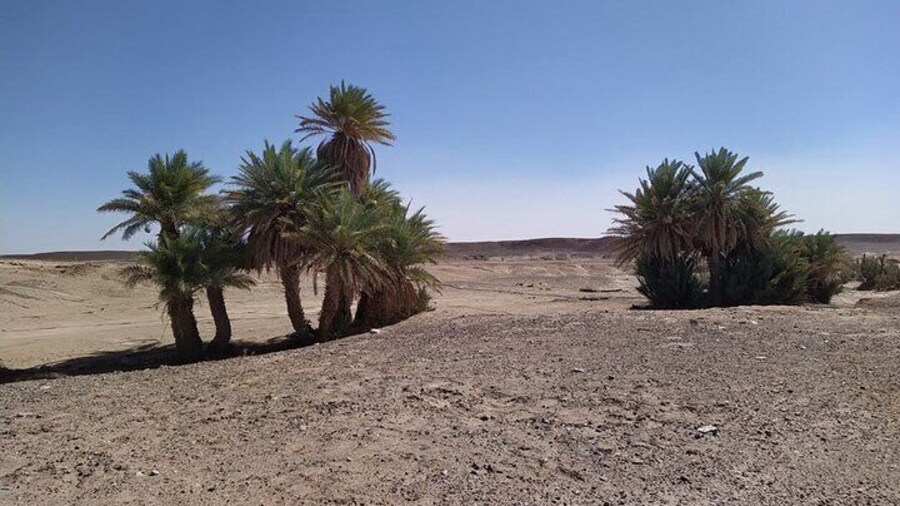 Exceptional 3-Day Desert Tour from M'hamid to Erg Chegaga