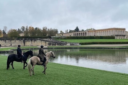 Horse Tour Versailles