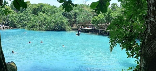 Port Vila: Blue Lagoon & Baby Turtles Tour with BBQ Lunch