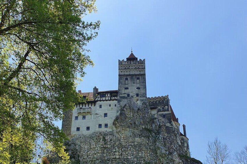 Private Dracula's Castle Tour from Bucharest in 8 hours 