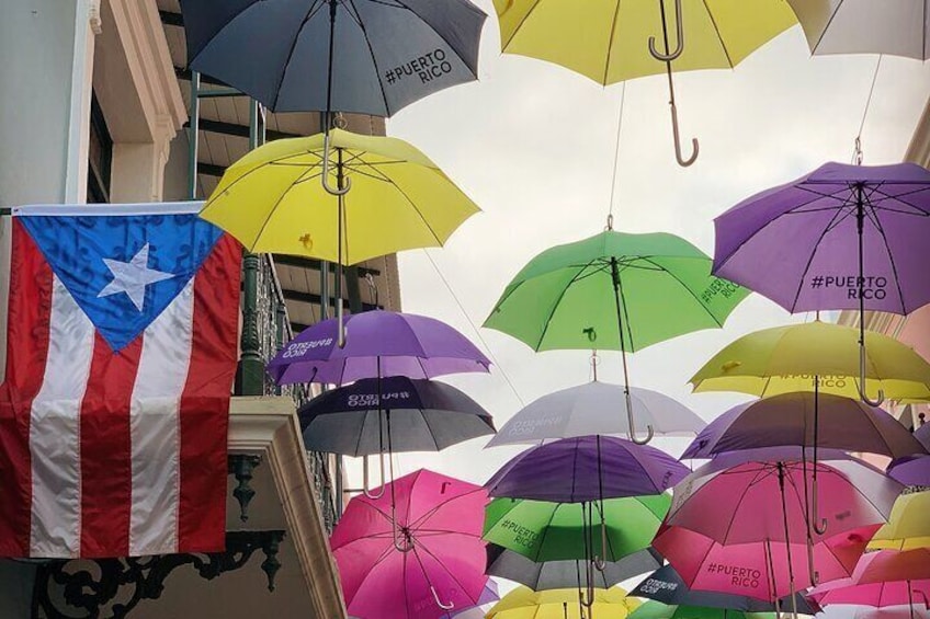 Half Day Lifestyle and Culture Tour in Puerto Rico