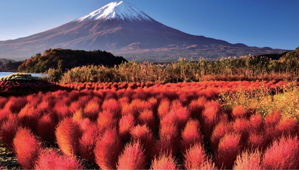 Mount Fuji M Line: Ninja Village, Fugaku Wind Cave & Hot Spring 1-Day Tour