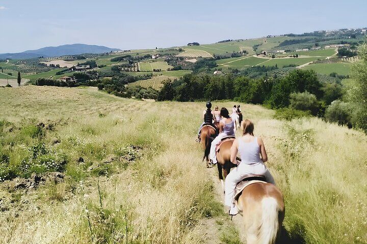 Scenic Tuscan Horseback Ride with Aperitif near Florence