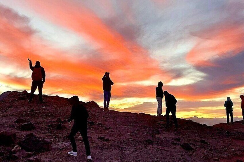 Shared or Private Teide National Park Tour