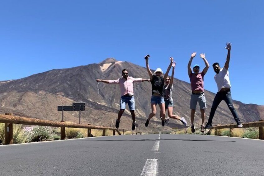 Shared or Private Teide National Park Tour