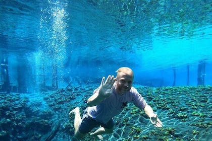 From Flowers Eco Tour to Blue Crater All Inclusive