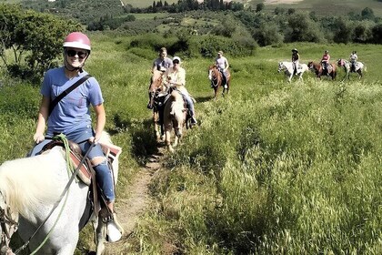 Horseback Ride and Wine Tasting Tour near Florence