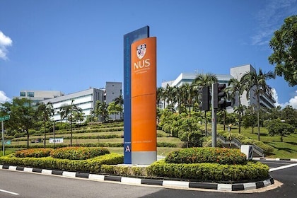 Singapore NTU and NUS Student Led Walking Tour