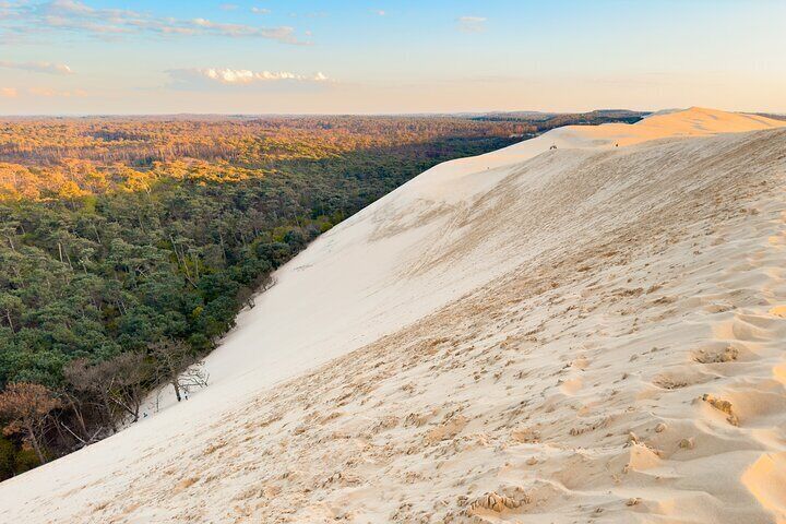From Bordeaux Arcachon Bay and Dune du Pilat Day Trip