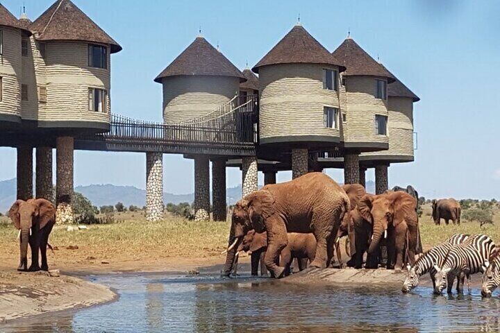 3 Days Tsavo East, Saltlick and Tsavo West from Diani or Mombasa