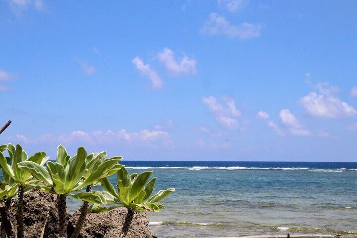 Okinawa: Sacred Island Tour to Kudaka’s Ryukyuan Holy Sites