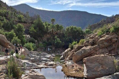 Paradise Valley Half Day with Lunch