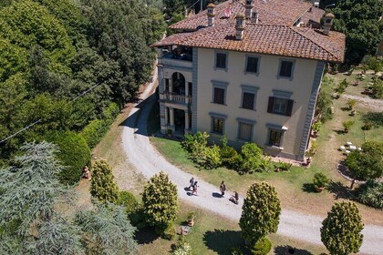 Black Gold – The True Truffle Hunt + Gourmet Tasting