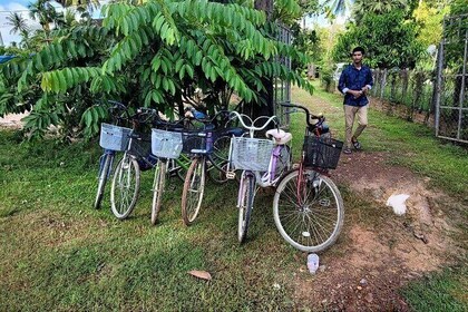 Half-Day Cycling Adventure in Tbeng Community, Siem Reap