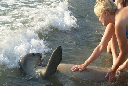 See the Coastal Landscape on This Tour of the Carian Trail