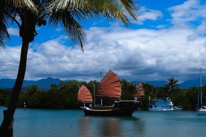 Discover Cairns Private Day tour with optional airport drop-off