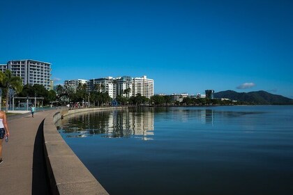 Discover Cairns Private Day tour with optional airport drop-off