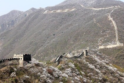 Mutianyu Great Wall Noshopping one day tour