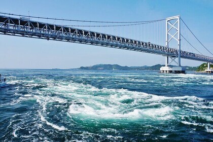 Full Day Tokushima Tour