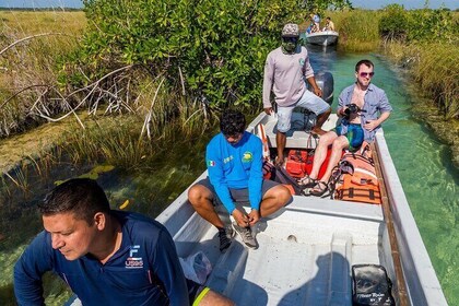Private Boat Sian Ka'an Floating Ancient Mayan Canals and Tacos