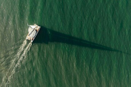 Port Douglas Day Tour from Cairns