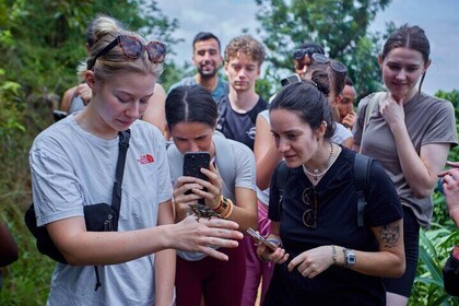Materuni Waterfalls(90m high) & Coffee Cultural Tour Experiences