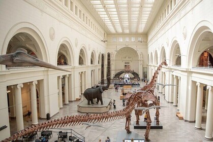 Field Museum Basic Admission Ticket Plus VR Experience