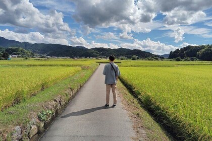 Nara: Asuka, Ancient Capital & Future Heritage Private Tour