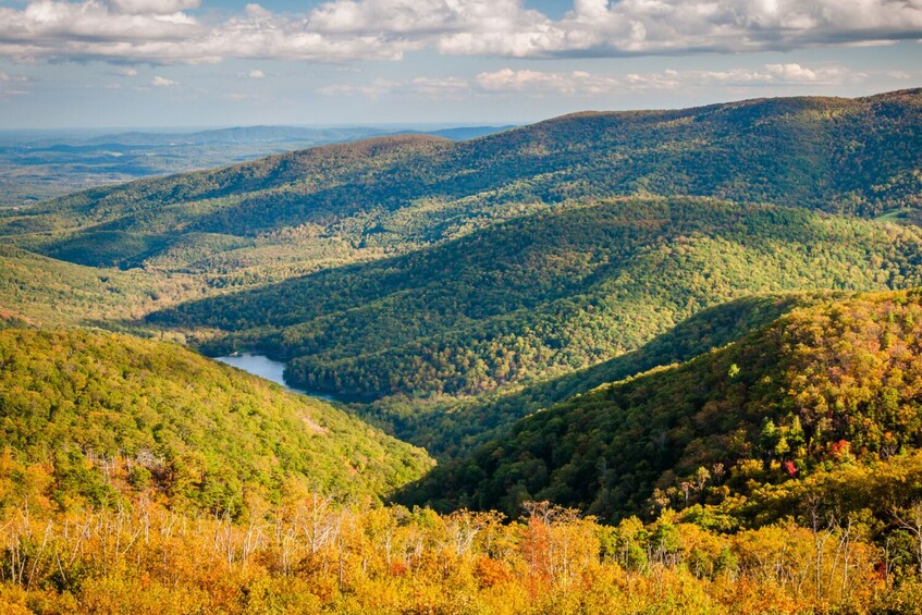 Shenandoah National Park Self-Driving Audio Tour