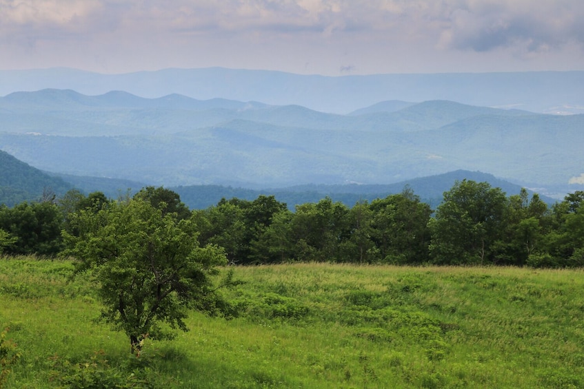 Shenandoah National Park Self-Guided Driving Tour