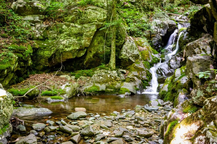 Shenandoah National Park Self-Driving Audio Tour