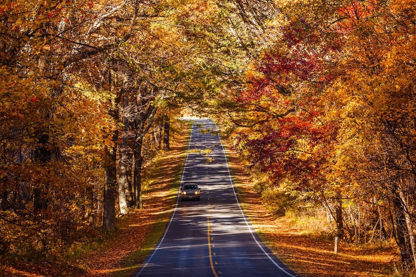 Shenandoah National Park Self-Driving Audio Tour